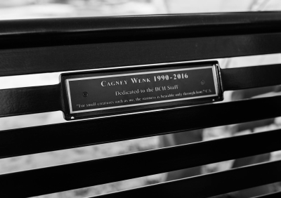 bench engraved